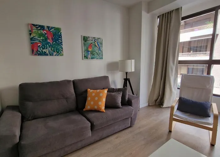 Imeda Apartamentos Recogidas
